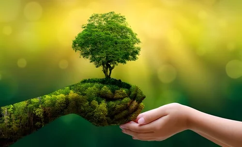 Sestentabilidade Ecoform